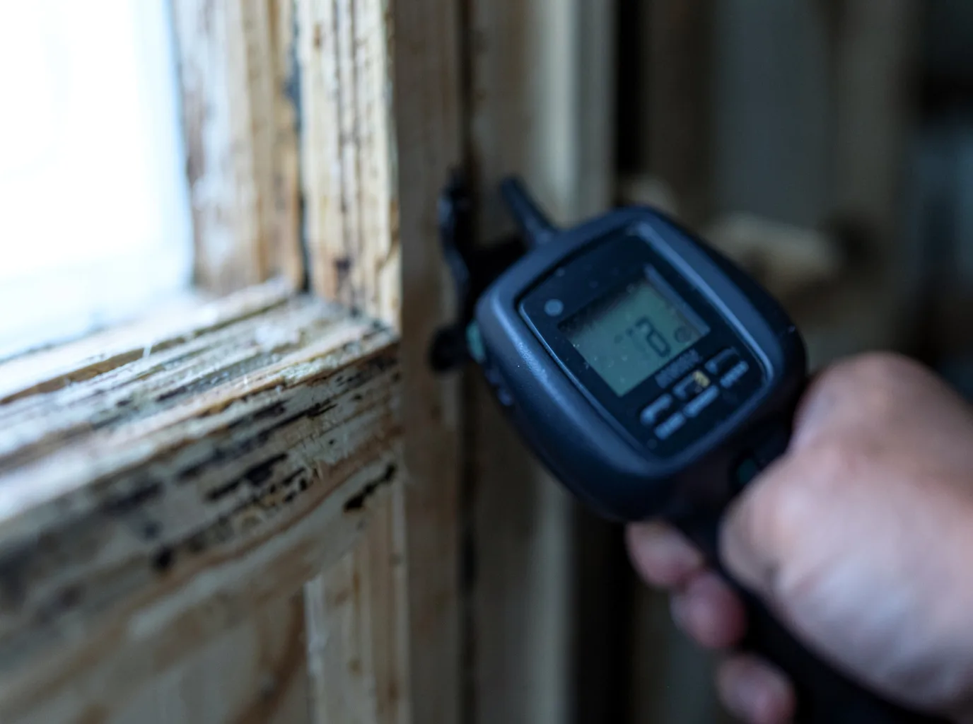 Moisture Inspection And Documentation in Bloomington, IL